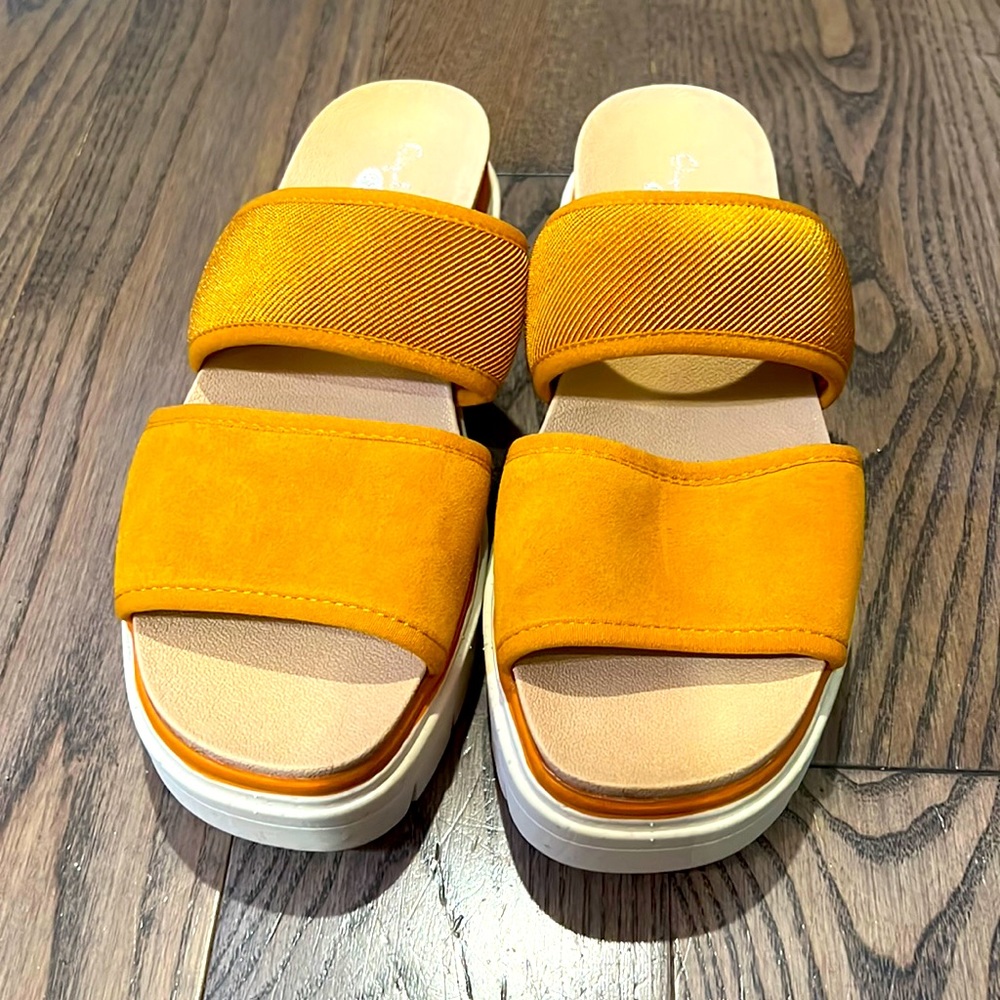 NWOT Dr. Scholl’s slides
